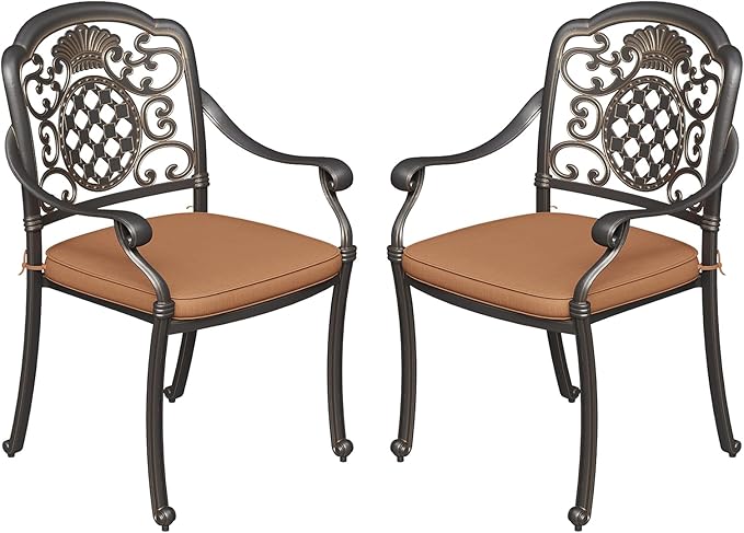 Cast Aluminum Outdoor Patio Dining Chairs with Cushions Set of 2